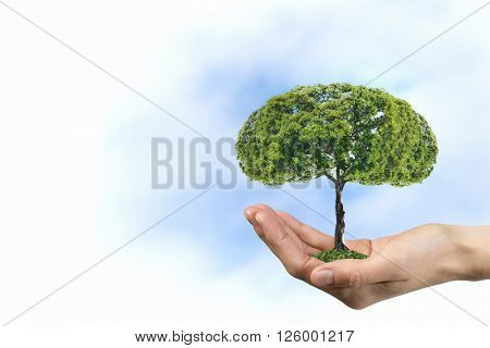 Green eco life 