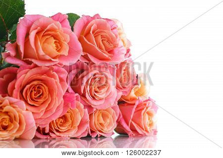 bouquet of pink roses isolated on white