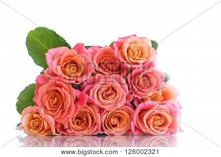 bouquet of pink roses isolated on white