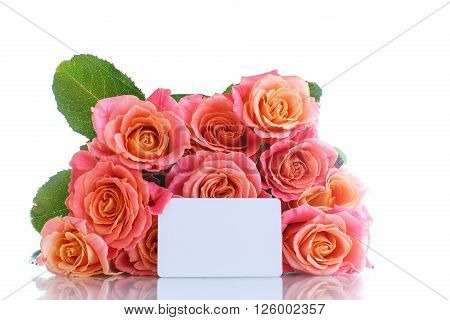 bouquet of pink roses isolated on white