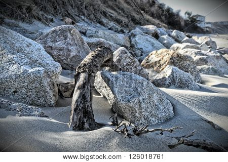 Driftwood and Rocks on Sagamore Beach Massachusetts
** Note: Shallow depth of field