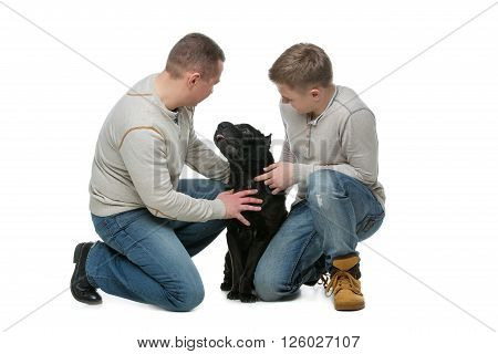 Shar pei dog showing tongue to its owners. Father and son. Family. Isolated over white background. Copy space.