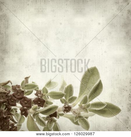 Textured Old Paper Background