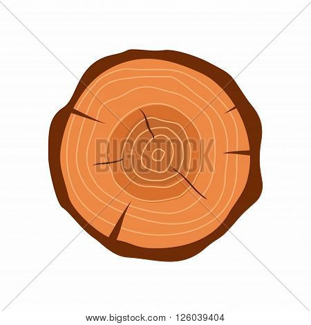 Cross section of tree stump in flat style isolated on white background. Tree trunk cross section natural cut wood slice circle timber ring. Vector illustration