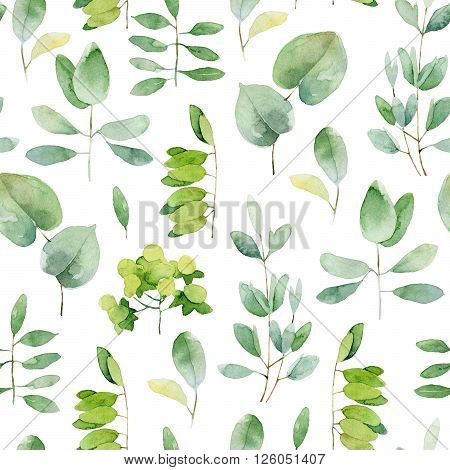 Seamless herbal pattern with leaves. Watercolor illustration