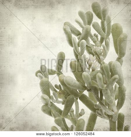 Textured Old Paper Background