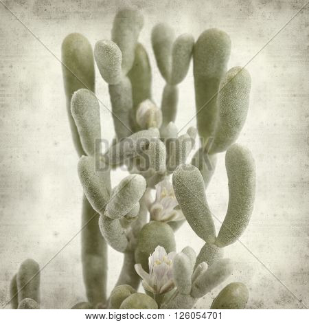 Textured Old Paper Background