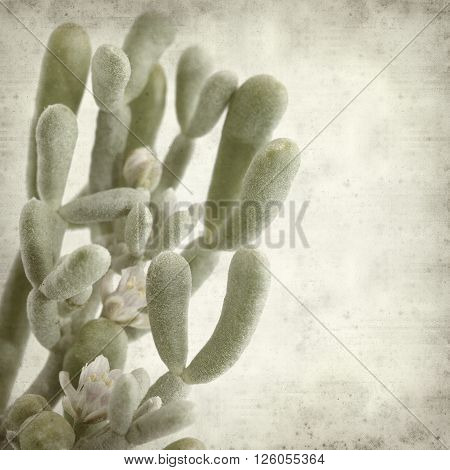 Textured Old Paper Background
