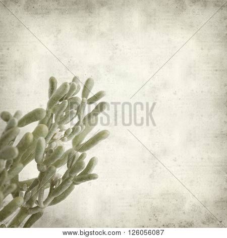 Textured Old Paper Background
