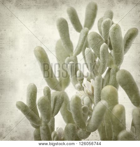 Textured Old Paper Background