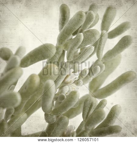 Textured Old Paper Background