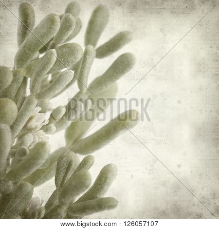 Textured Old Paper Background