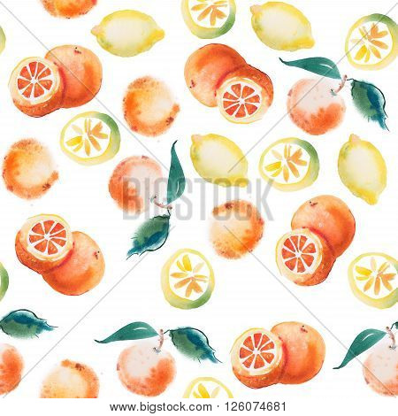 watercolor drawing set of tropical fruits, citrus aquarelle painting on white background.