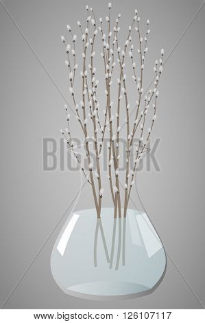 Willow branches in a clear vase, vector illustration