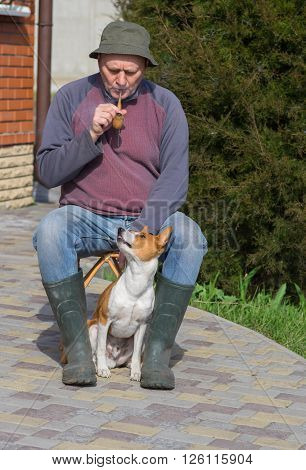 Young dog shows dissatisfaction of master's smoking while having rest in the garden