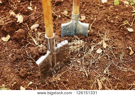 The garden tool shovel a close up.