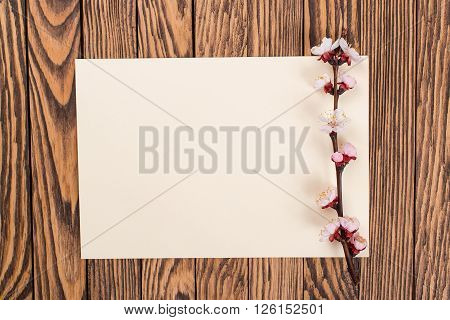 Spring Blossom over wood background. Spring Flowers on a wooden background