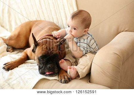 Little baby boy with boxer dog on a couch at home