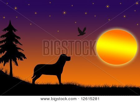 Sunset