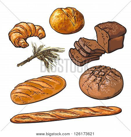 Set bread products, pastries on a white background, sliced loaf, French baguette, rye bread, wheat branch, cutting cakes, croissants, colored sketch style hand-drawn, bakery products, rooty