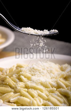 pasta gorgonzola and cream with fork and parmesan