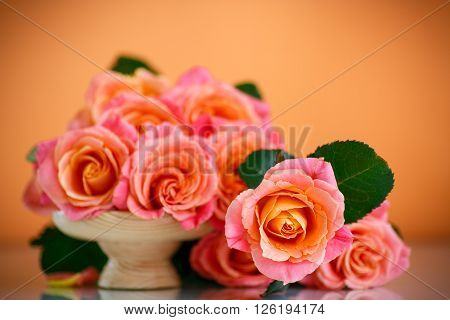 bouquet of pink roses on an orange background