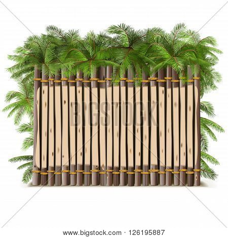 Vector Wooden Fence with Palm isolated on white background