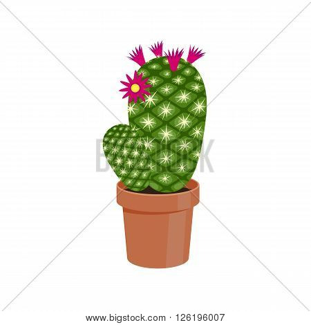 Flowering Cactus in a pot - home flower. Vector illustration.