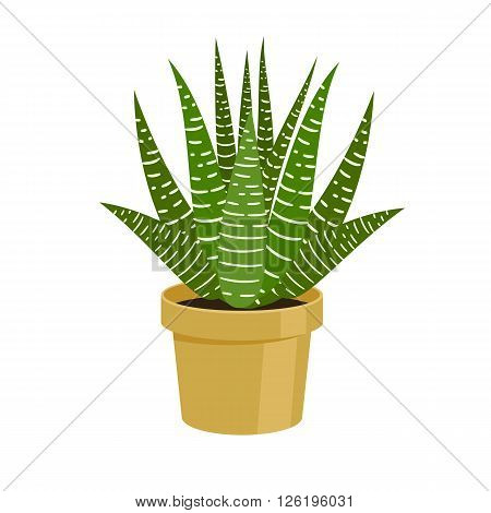 Cactus in a pot - home flower. Vector illustration.