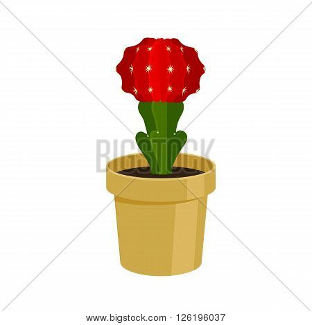 Cactus in a pot - home flower. Vector illustration.
