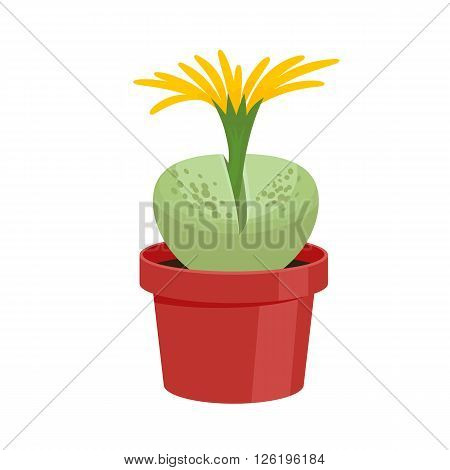 Flowering Cactus in a pot - home flower. Vector illustration.