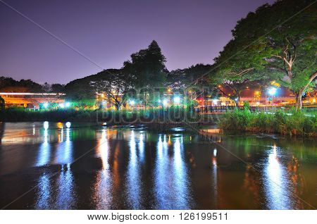 Lush greenery by Lower Seletar Reservoir (in the north of Singapore) with light reflections on the water under purplish sky.