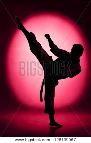 Silhouette of man karate kick