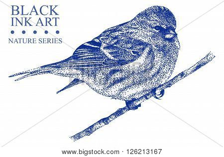 Illustration with bird Redpoll drawn by hand with black ink. Graphic drawing pointillism technique. Floral element for design
