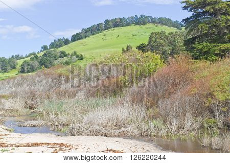 Garrapata State Park, California