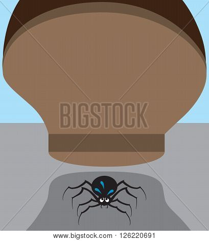 Nervous spider about to be stepped on