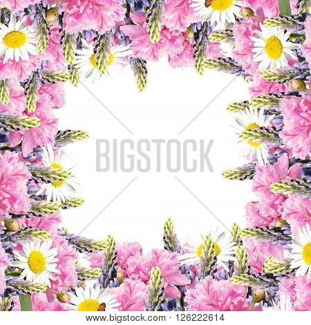 Delicate floral background. Peonies, lupins and daisies