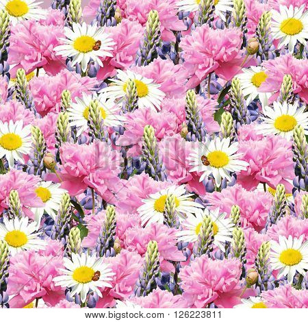 Delicate floral background. Peonies, lupins and daisies