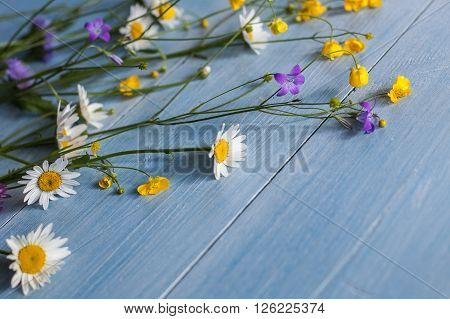 Wild flowers on wooden background grunge copyspace blooming