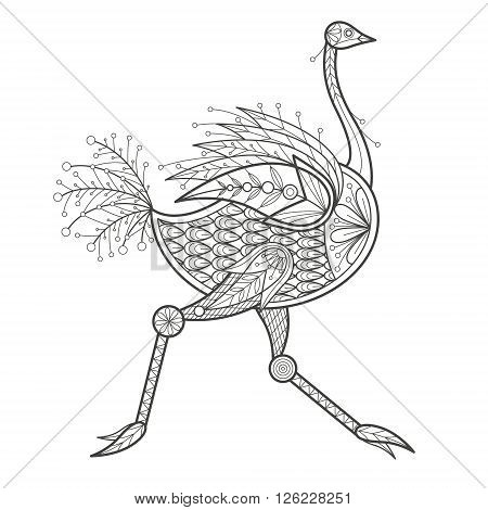 Vector illustration decorative ostrich on white background. Fashion trend of adult coloration. Bird ostrich vector with elements oriental motif. Black and white bird ostrich. Modern vector design.