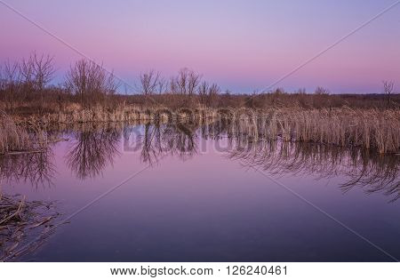 landscape river and spring forest. Nature composition.