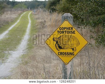 LEESBURG, FLORIDA - February 22: on February 22, 2016, a sign indicates gopher tortoise territory and conservation at PEAR Park in Leesburg, Florida.