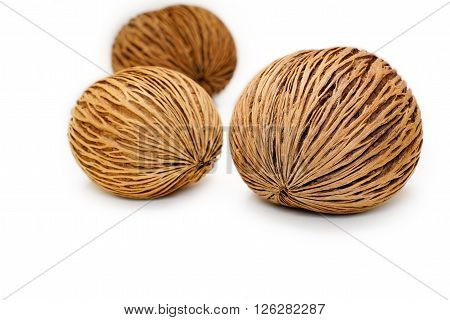Pong pong seed or Othalanga,Cerbera oddloam's seed on white background