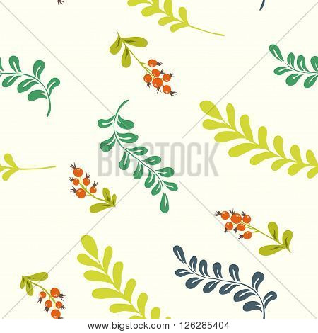 Forest herbs and berries. floral seamless pattern
