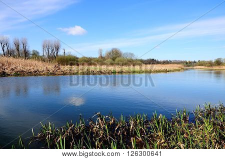 narrow river with marshy coast and the spring blue sky