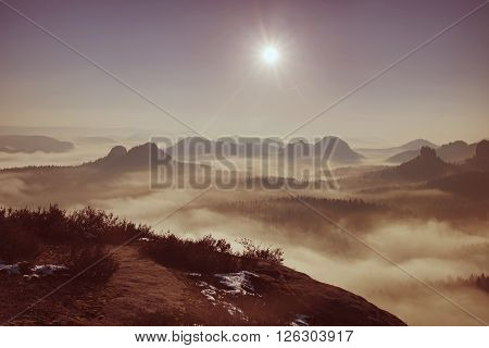 Dreamy Misty Landscape. Majestic Mountain Cut The Lighting Mist. Deep Valley Is Full Of Colorful Fog