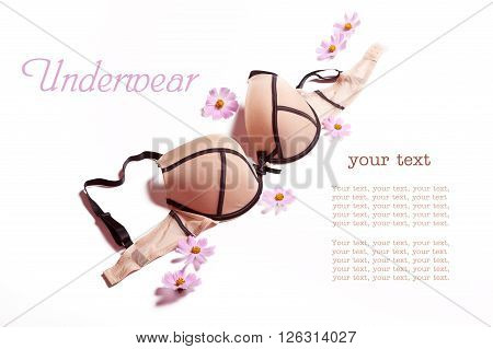 Beige bra with black embroidery on a white background with flowers