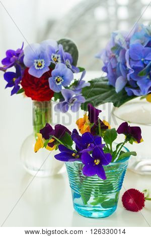 Colorful violets and pancies cut flowers in vases on white table