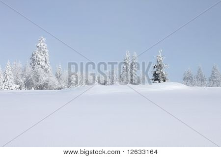 paesaggio invernale