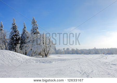 paesaggio invernale
